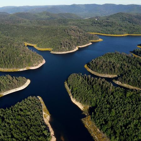 Gite De Rarounette Au Coeur Des Vosges Celles-sur-Plaine Buitenkant foto