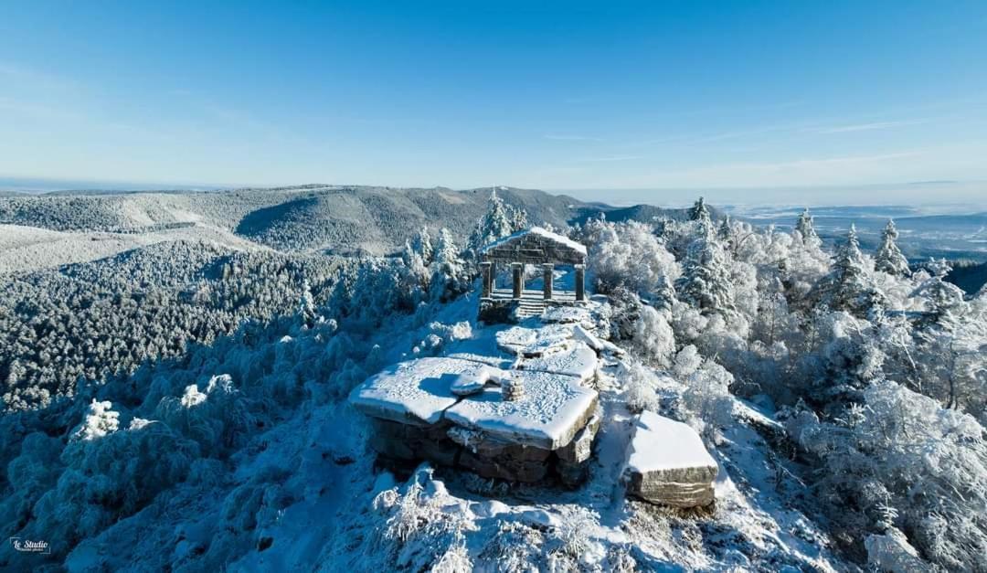 Gite De Rarounette Au Coeur Des Vosges Celles-sur-Plaine Buitenkant foto