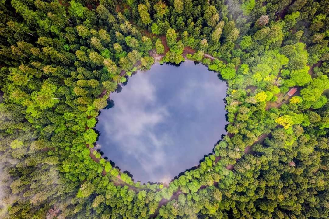 Gite De Rarounette Au Coeur Des Vosges Celles-sur-Plaine Buitenkant foto