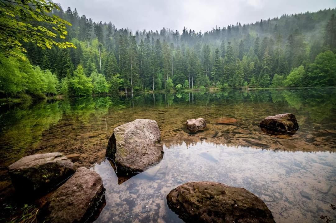 Gite De Rarounette Au Coeur Des Vosges Celles-sur-Plaine Buitenkant foto