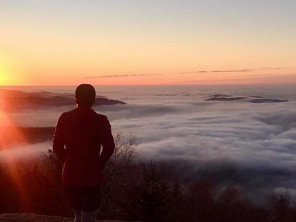 Gite De Rarounette Au Coeur Des Vosges Celles-sur-Plaine Buitenkant foto
