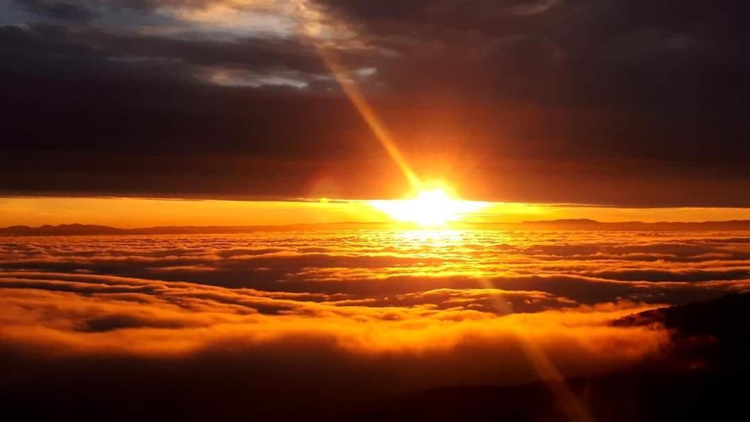 Gite De Rarounette Au Coeur Des Vosges Celles-sur-Plaine Buitenkant foto