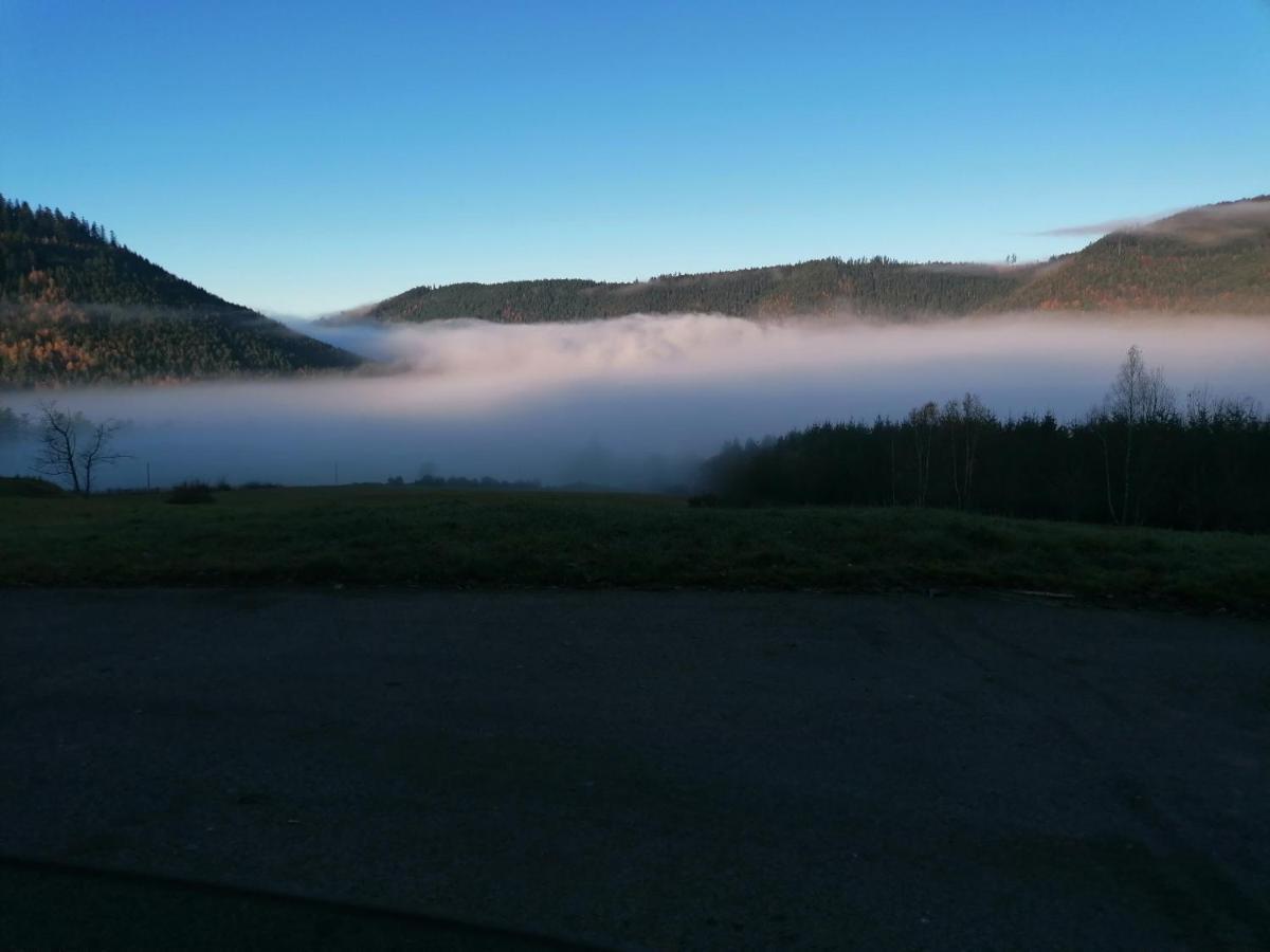 Gite De Rarounette Au Coeur Des Vosges Celles-sur-Plaine Buitenkant foto