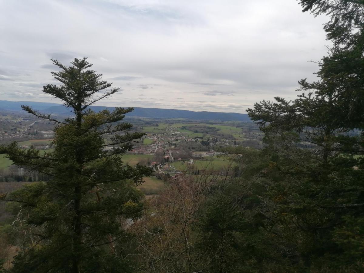 Gite De Rarounette Au Coeur Des Vosges Celles-sur-Plaine Buitenkant foto