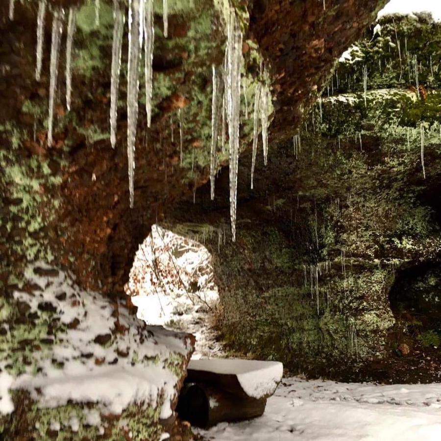Gite De Rarounette Au Coeur Des Vosges Celles-sur-Plaine Buitenkant foto