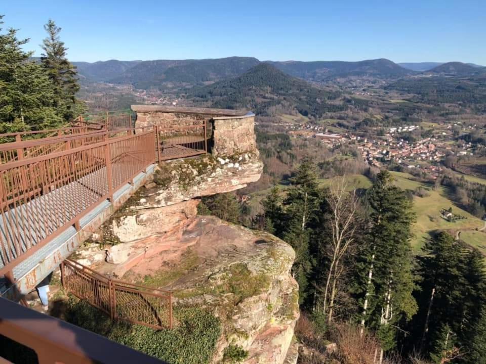 Gite De Rarounette Au Coeur Des Vosges Celles-sur-Plaine Buitenkant foto