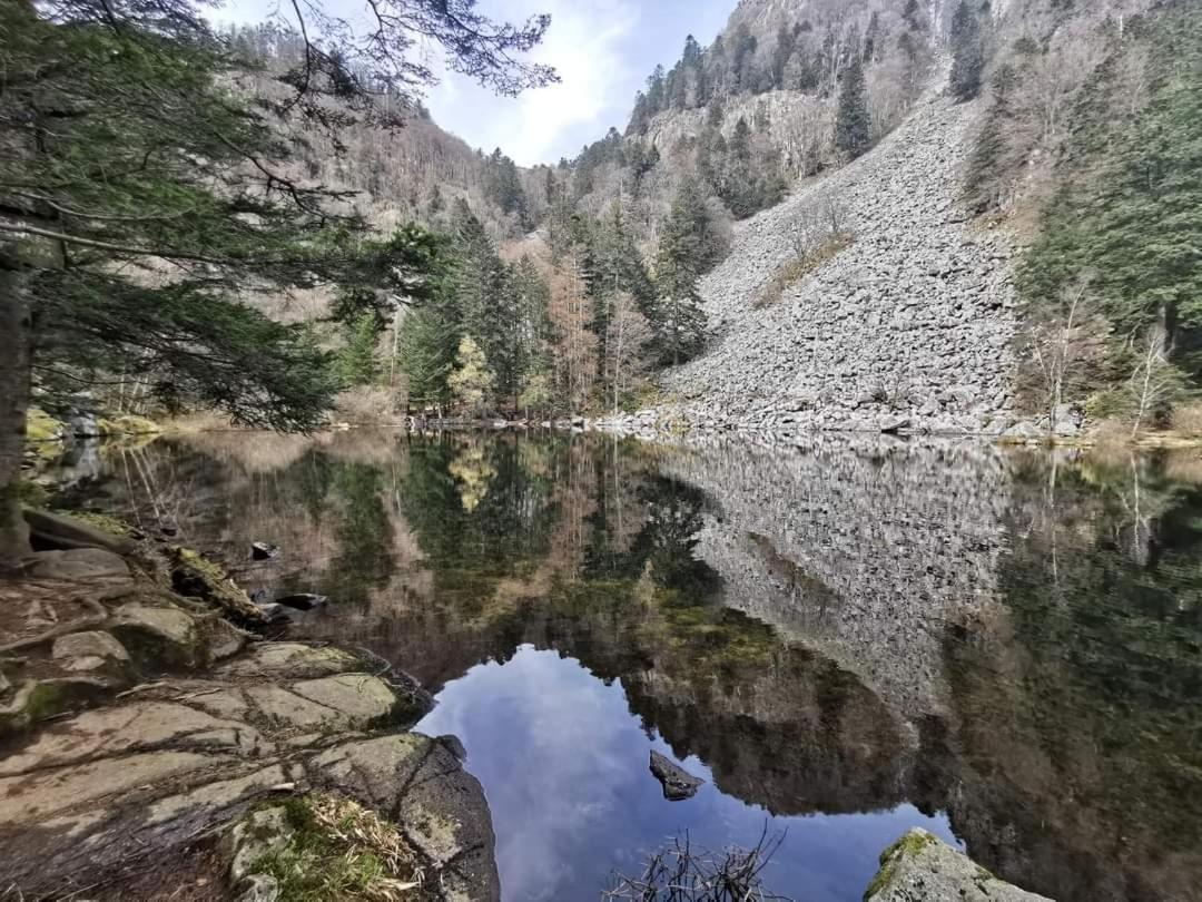 Gite De Rarounette Au Coeur Des Vosges Celles-sur-Plaine Buitenkant foto
