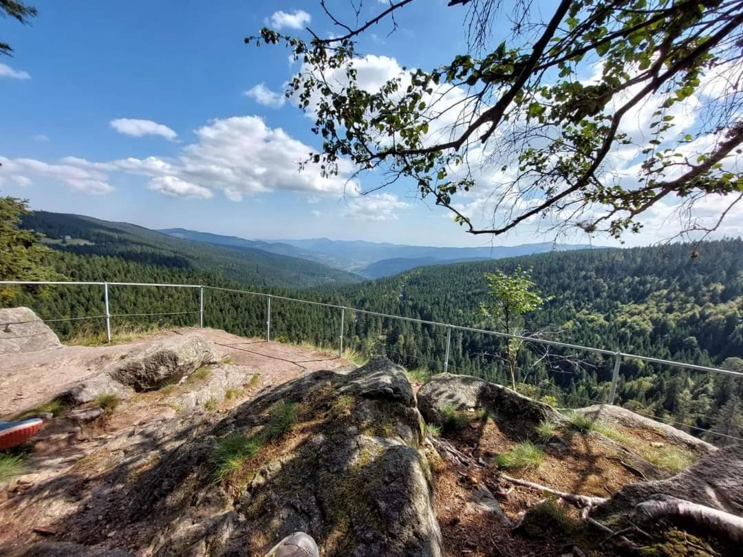 Gite De Rarounette Au Coeur Des Vosges Celles-sur-Plaine Buitenkant foto