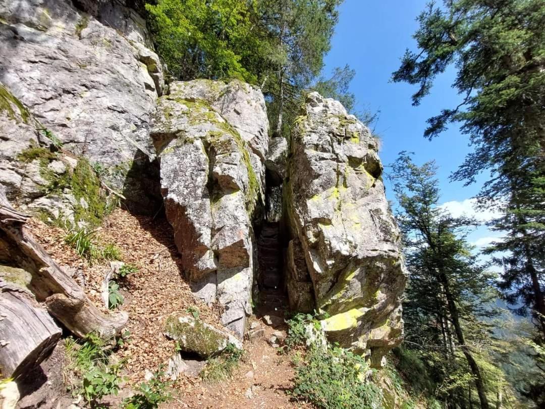 Gite De Rarounette Au Coeur Des Vosges Celles-sur-Plaine Buitenkant foto