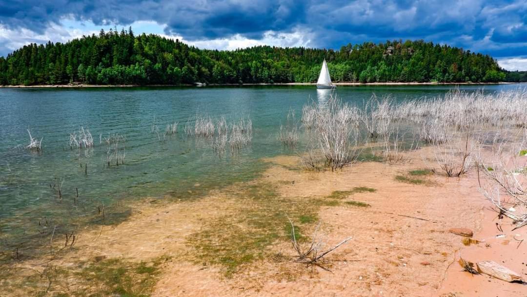 Gite De Rarounette Au Coeur Des Vosges Celles-sur-Plaine Buitenkant foto