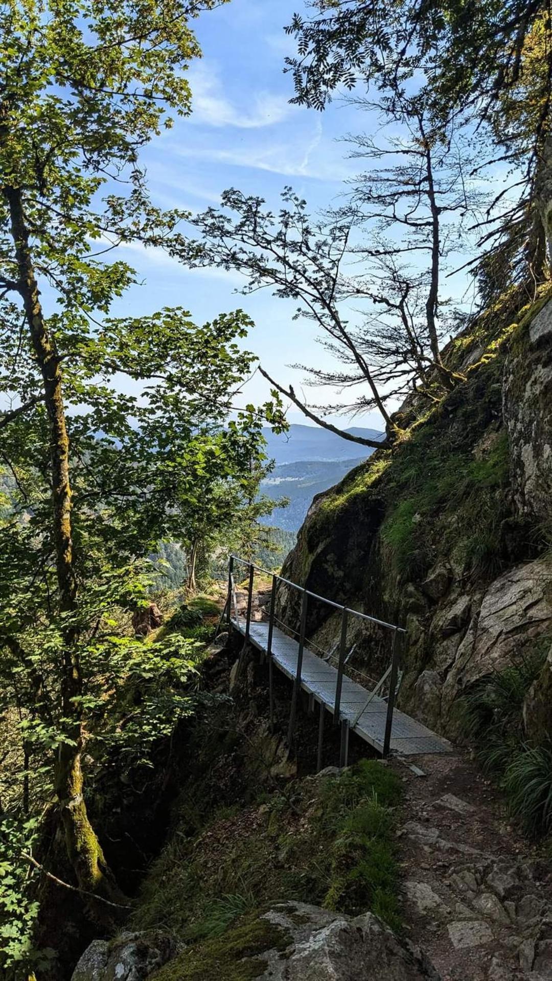 Gite De Rarounette Au Coeur Des Vosges Celles-sur-Plaine Buitenkant foto