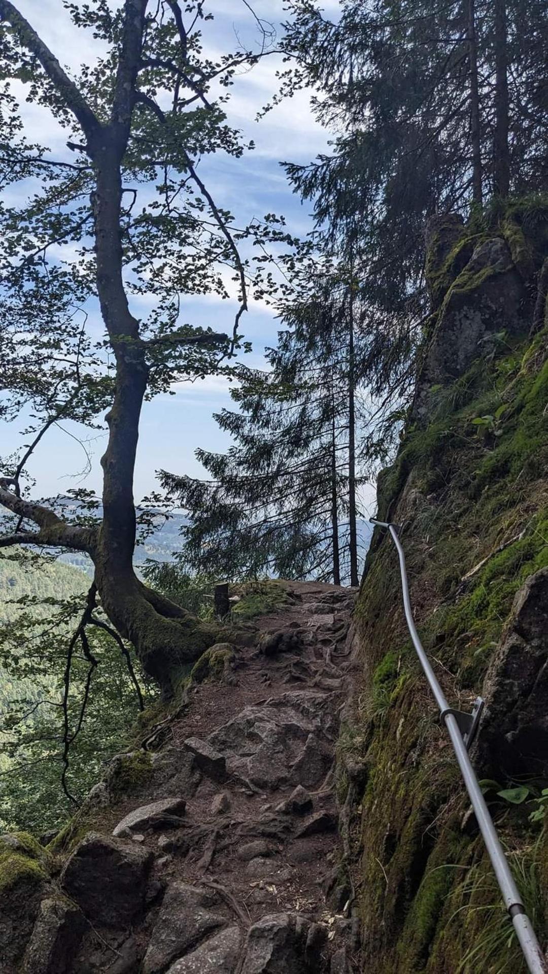 Gite De Rarounette Au Coeur Des Vosges Celles-sur-Plaine Buitenkant foto