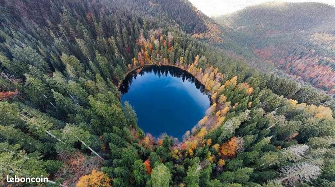 Gite De Rarounette Au Coeur Des Vosges Celles-sur-Plaine Buitenkant foto