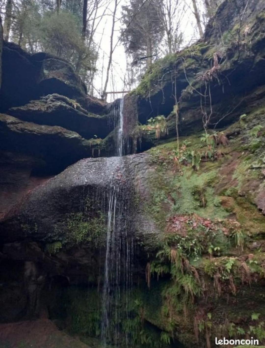 Gite De Rarounette Au Coeur Des Vosges Celles-sur-Plaine Buitenkant foto
